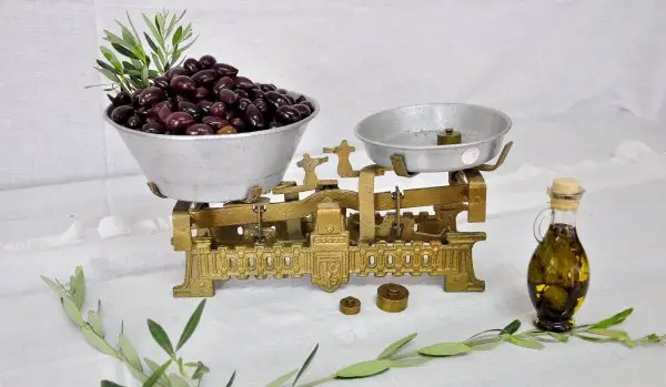 Ελιές με λάδι